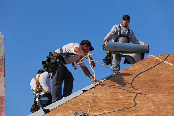 Best Residential Roofing Contractor  in Herscher, IL